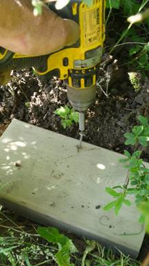 Et bilde som inneholder gress, tre, utend�rs, plante

Beskrivelse som er generert med sv�rt h�y visshet