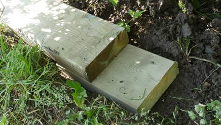 Et bilde som inneholder utend�rs, tre, gress

Beskrivelse som er generert med h�y visshet