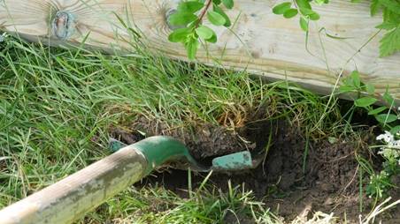 Et bilde som inneholder gress, utend�rs, gr�nn

Beskrivelse som er generert med sv�rt h�y visshet