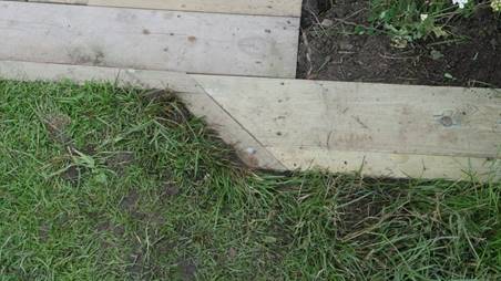 Et bilde som inneholder gress, utend�rs, bygning, gr�nn

Beskrivelse som er generert med sv�rt h�y visshet