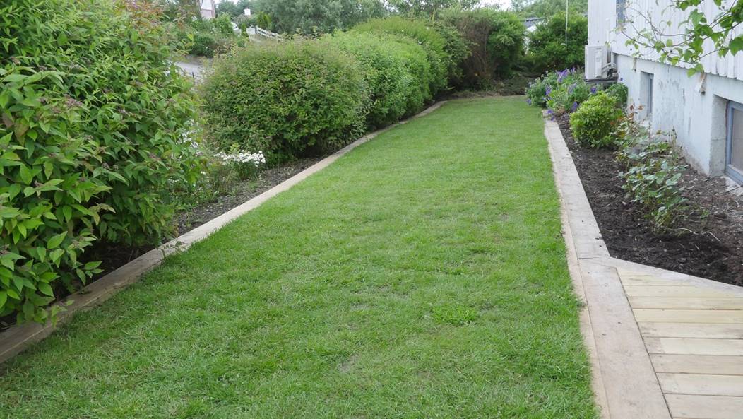 Et bilde som inneholder gress, utend�rs, tre, fortau

Beskrivelse som er generert med sv�rt h�y visshet