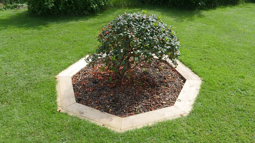 Et bilde som inneholder gress, utend�rs, kake, tre

Beskrivelse som er generert med sv�rt h�y visshet